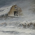 Waiting out the Storm